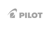 pilot